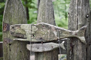 green moss on brown wooden fence