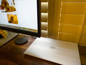 A workspace featuring a large computer monitor displaying images of dogs. Below the monitor, there's a closed Dell laptop on a wooden desk, and the scene is lit warmly by light filtering through window blinds.