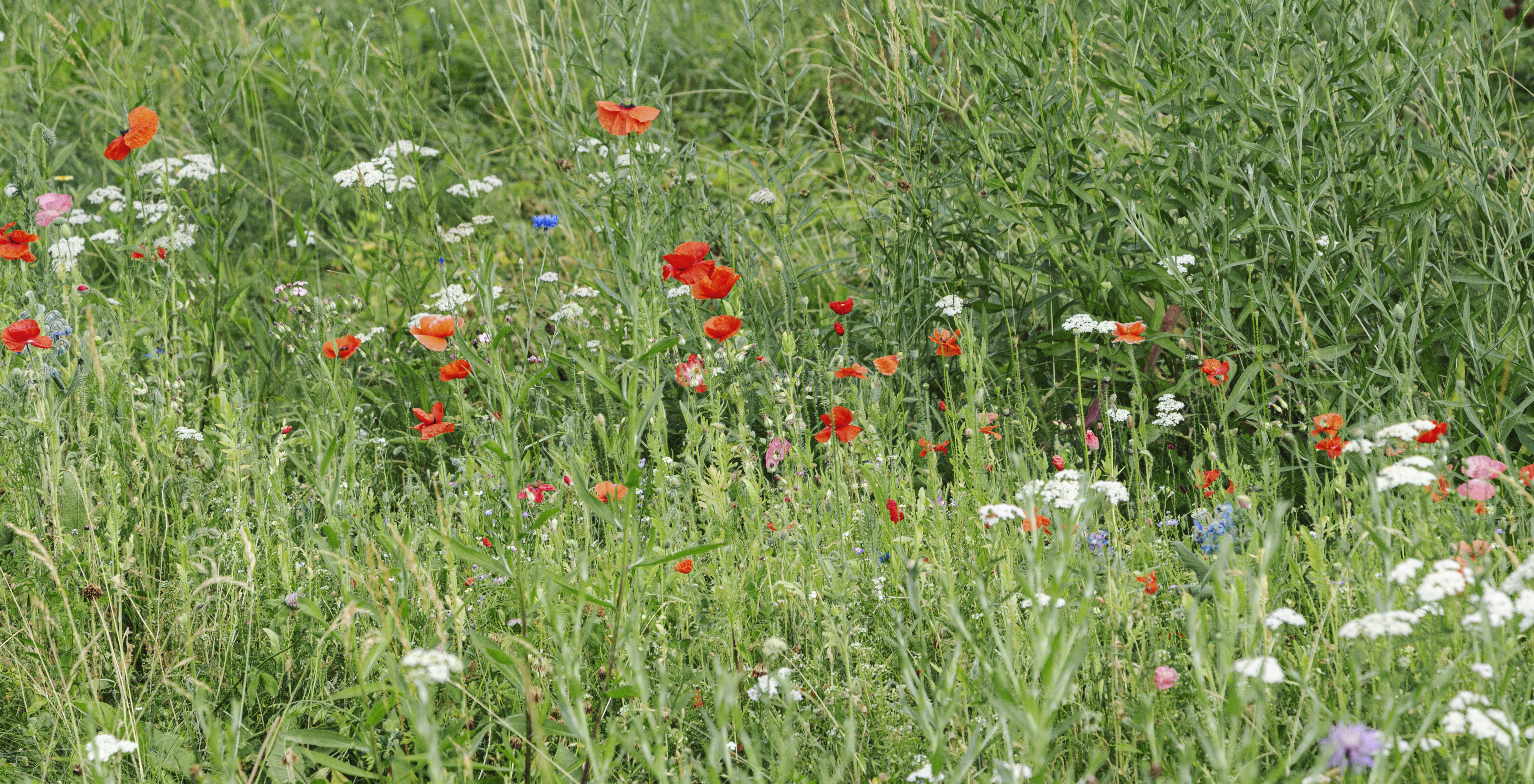 Photo by el_zakharova