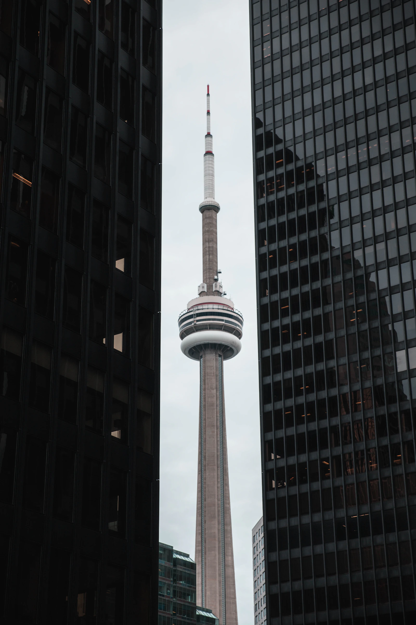 Your Business Made Money… Where Did It Go?