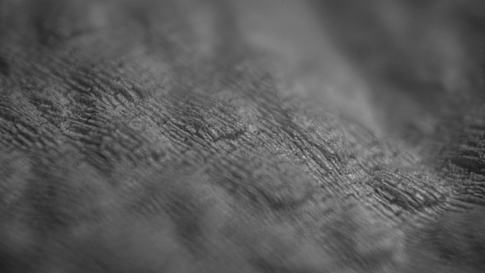 grayscale photo of a textile