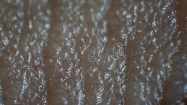 Close-up of a high-resolution photo print being carefully inspected on a glossy surface.