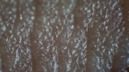 Close-up of a detailed, high-quality image created for a marketing project.