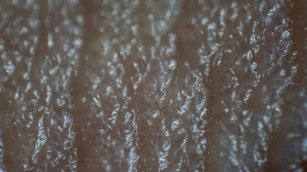 Close-up of the textured surface of a plastic plate highlighting its quality craftsmanship.