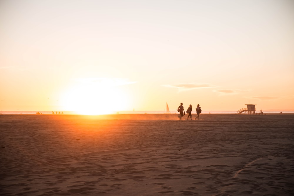 people on beach during sunset