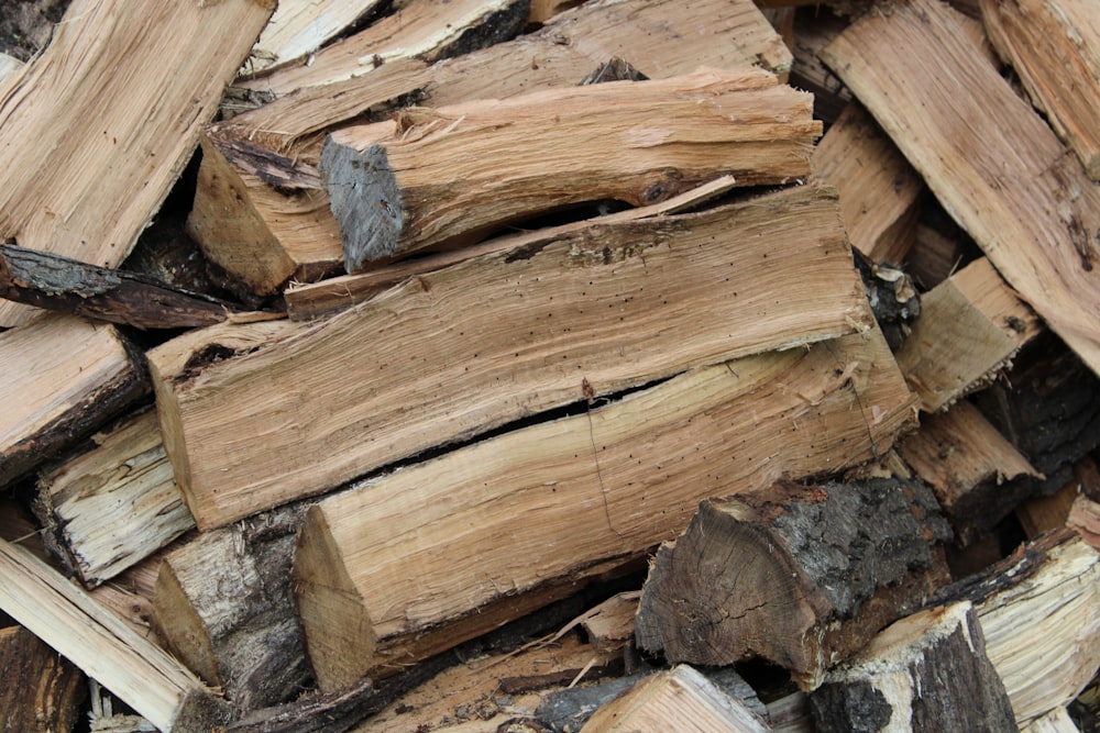 troncos de madera marrón y gris