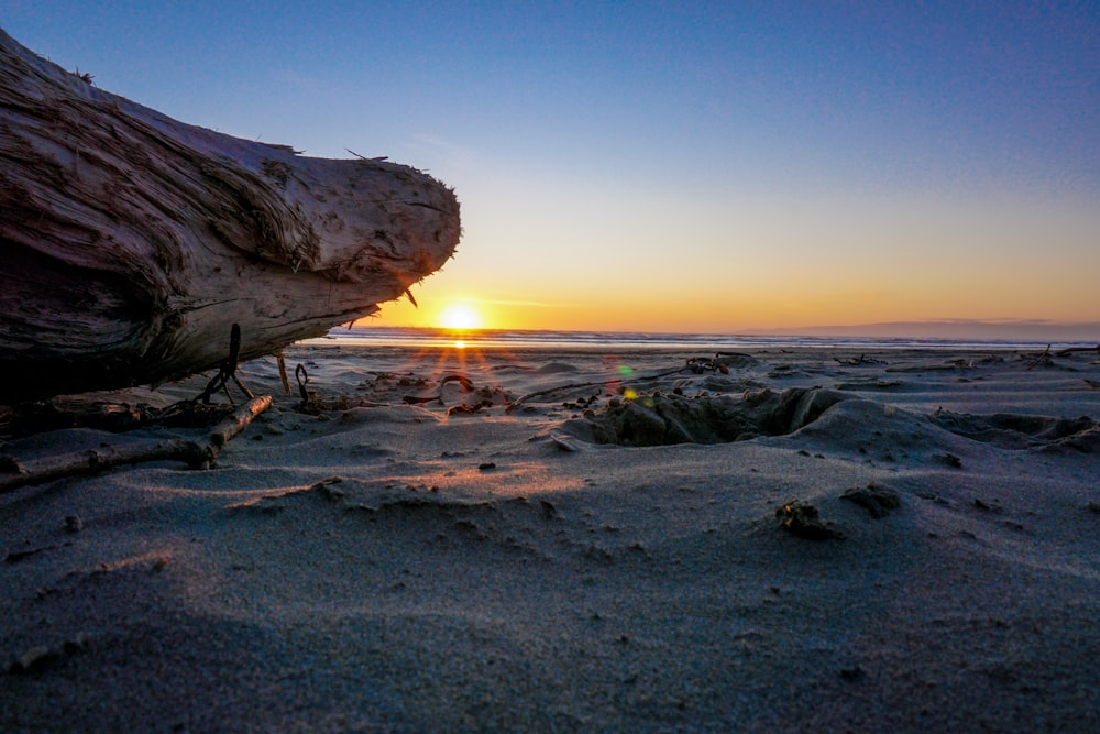 brown rock formation on beach during sunset