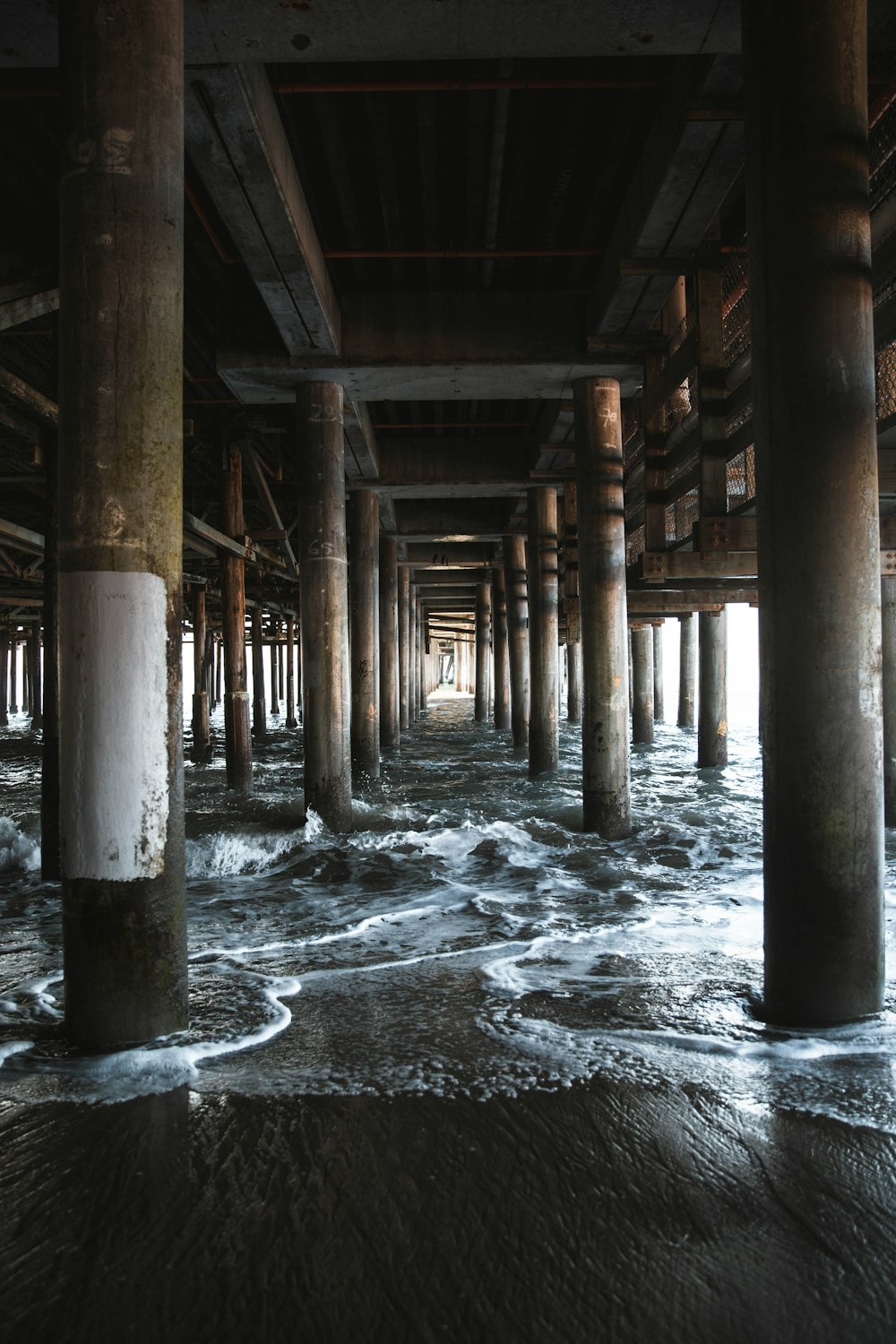 brown wooden dock on water