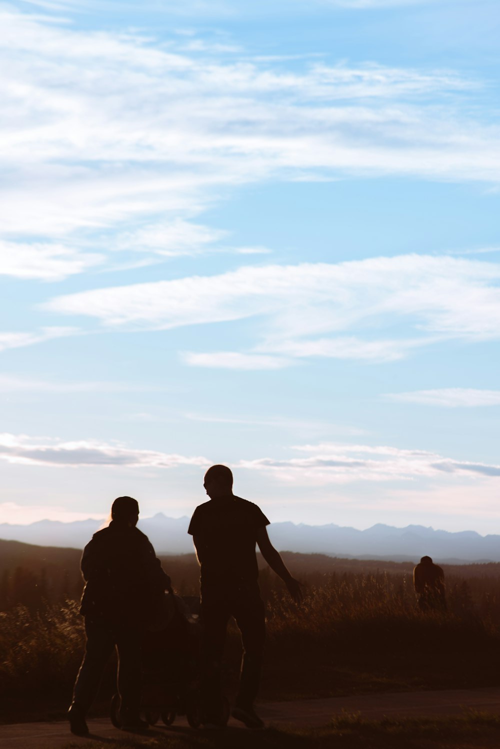 silhouette of 2 person standing on grass field during sunset