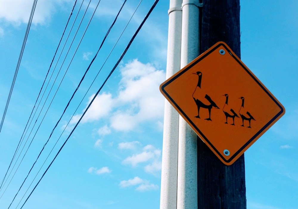 yellow and black street sign under cloudy sky during daytime