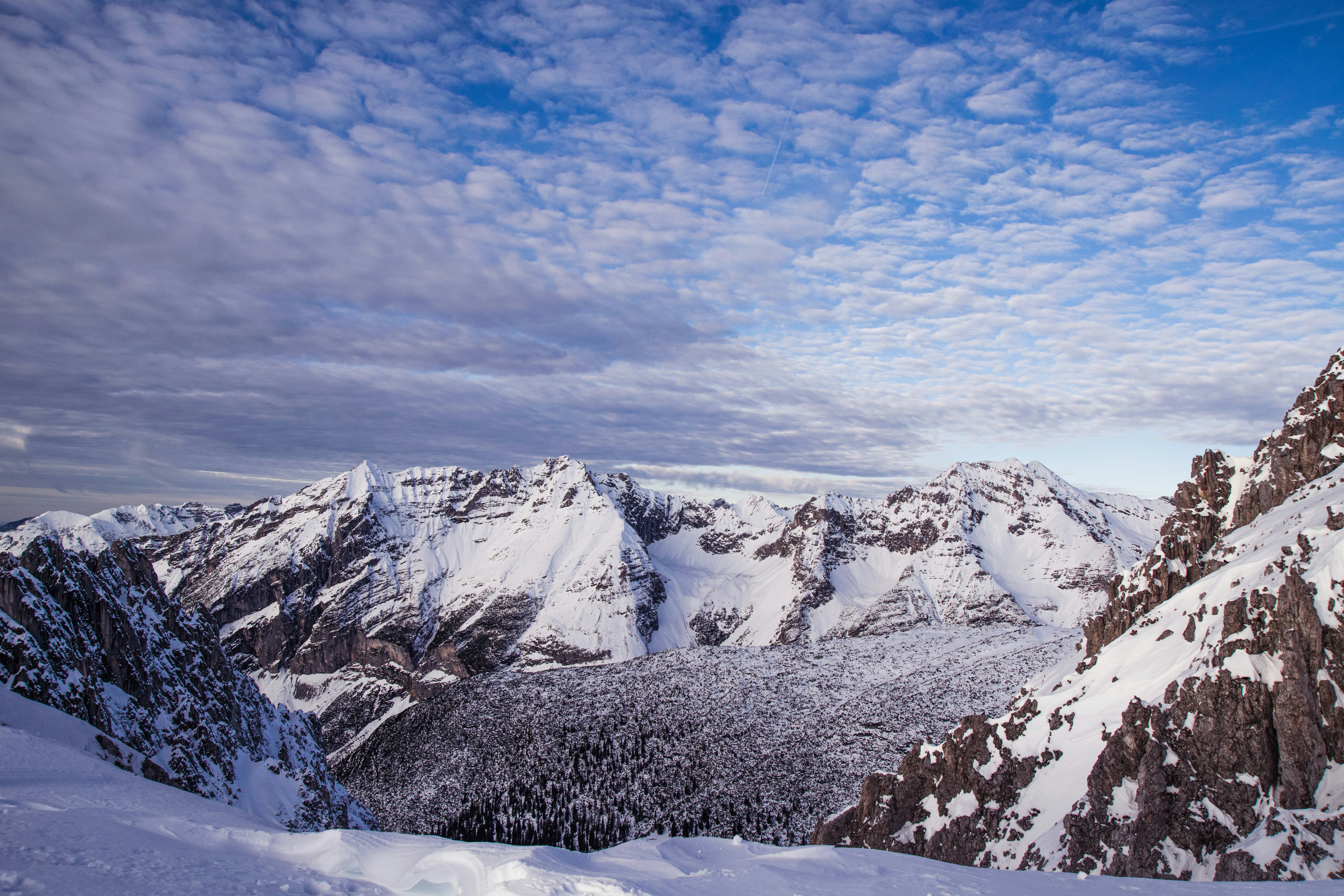 オーストリア ブンデスリーガ