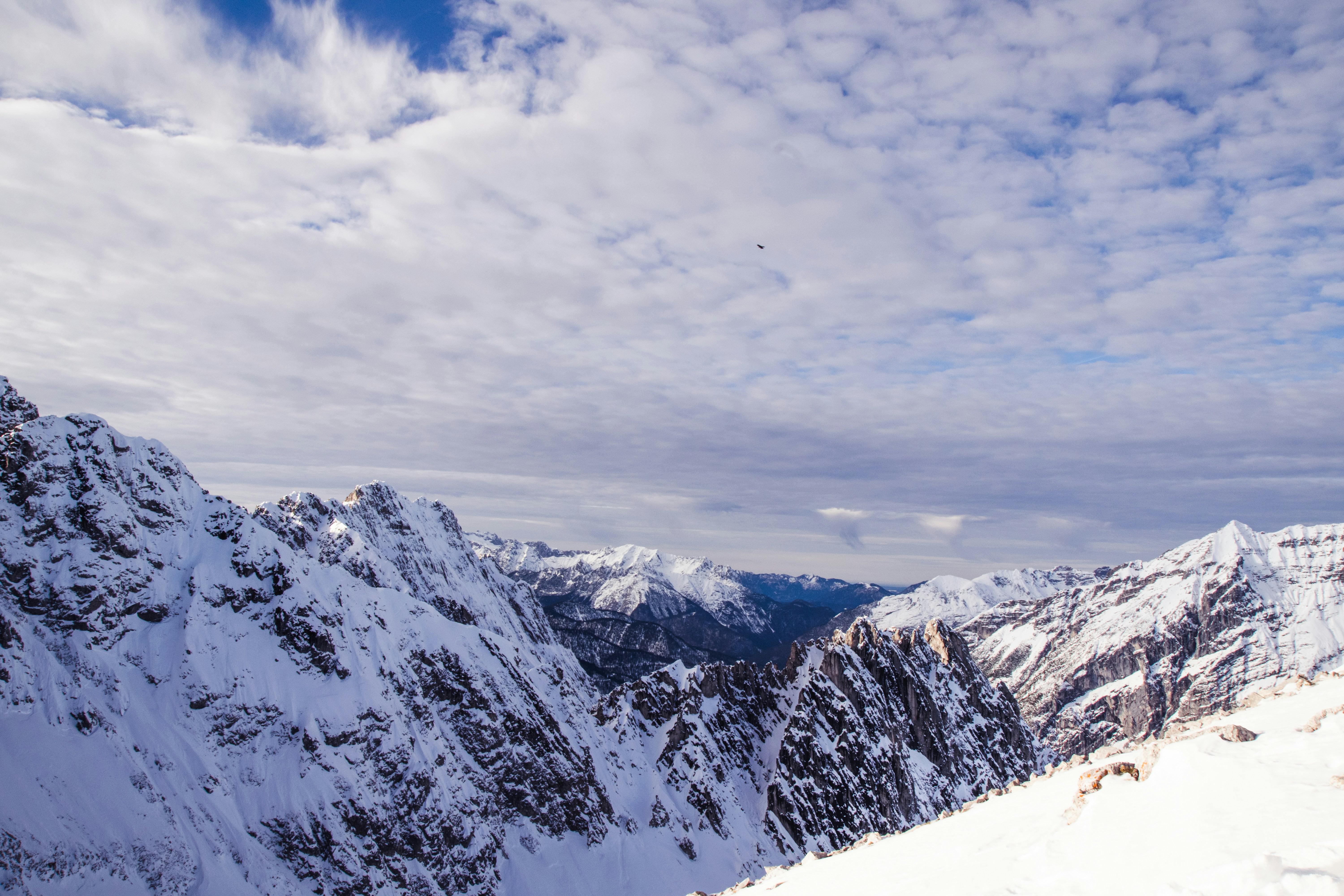 Photo by ryunosuke_kikuno