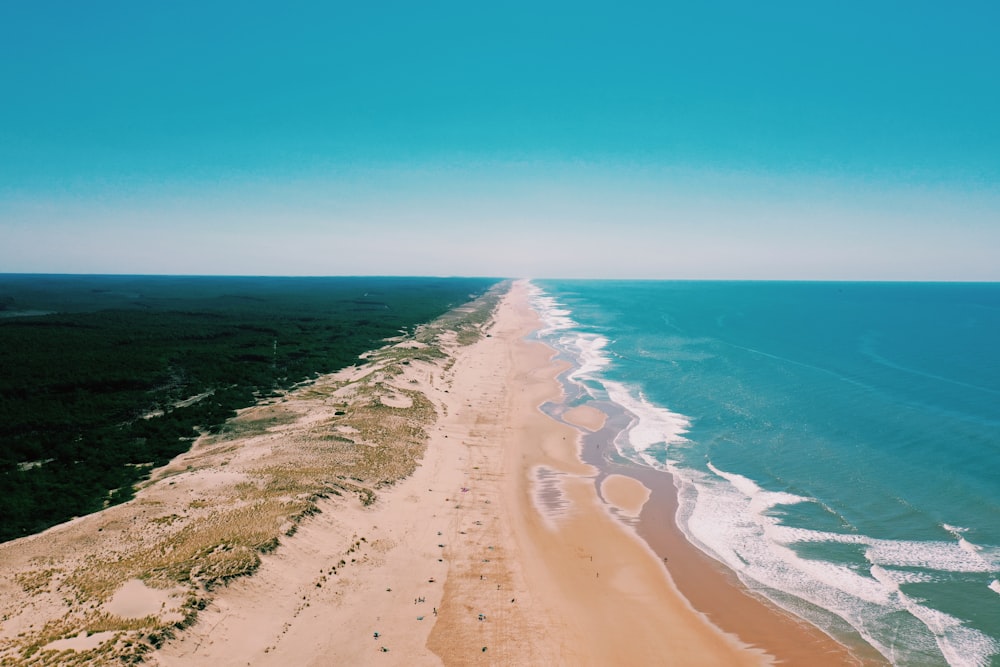 brown sand beach during daytime