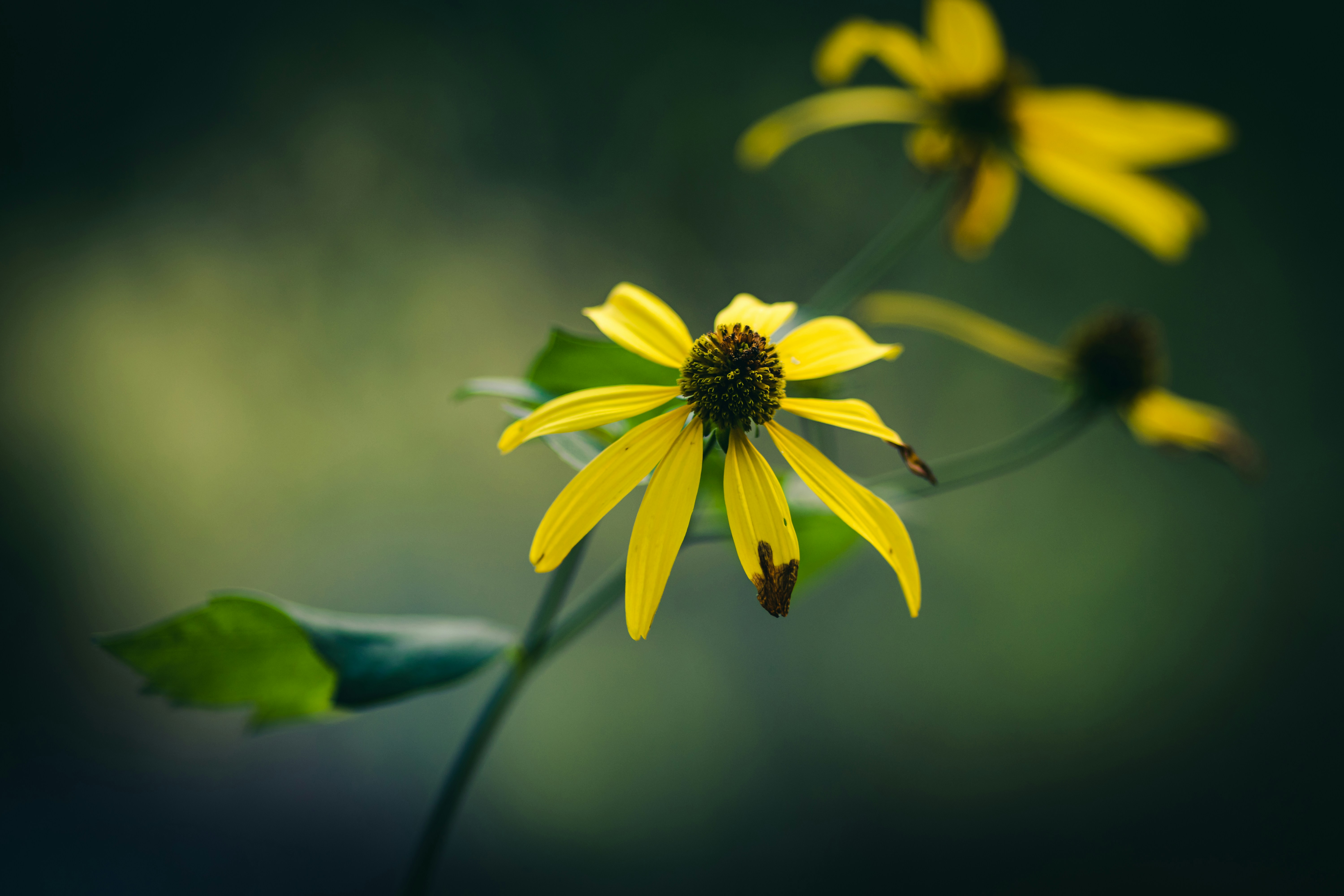 Photo by cole_wyland_24