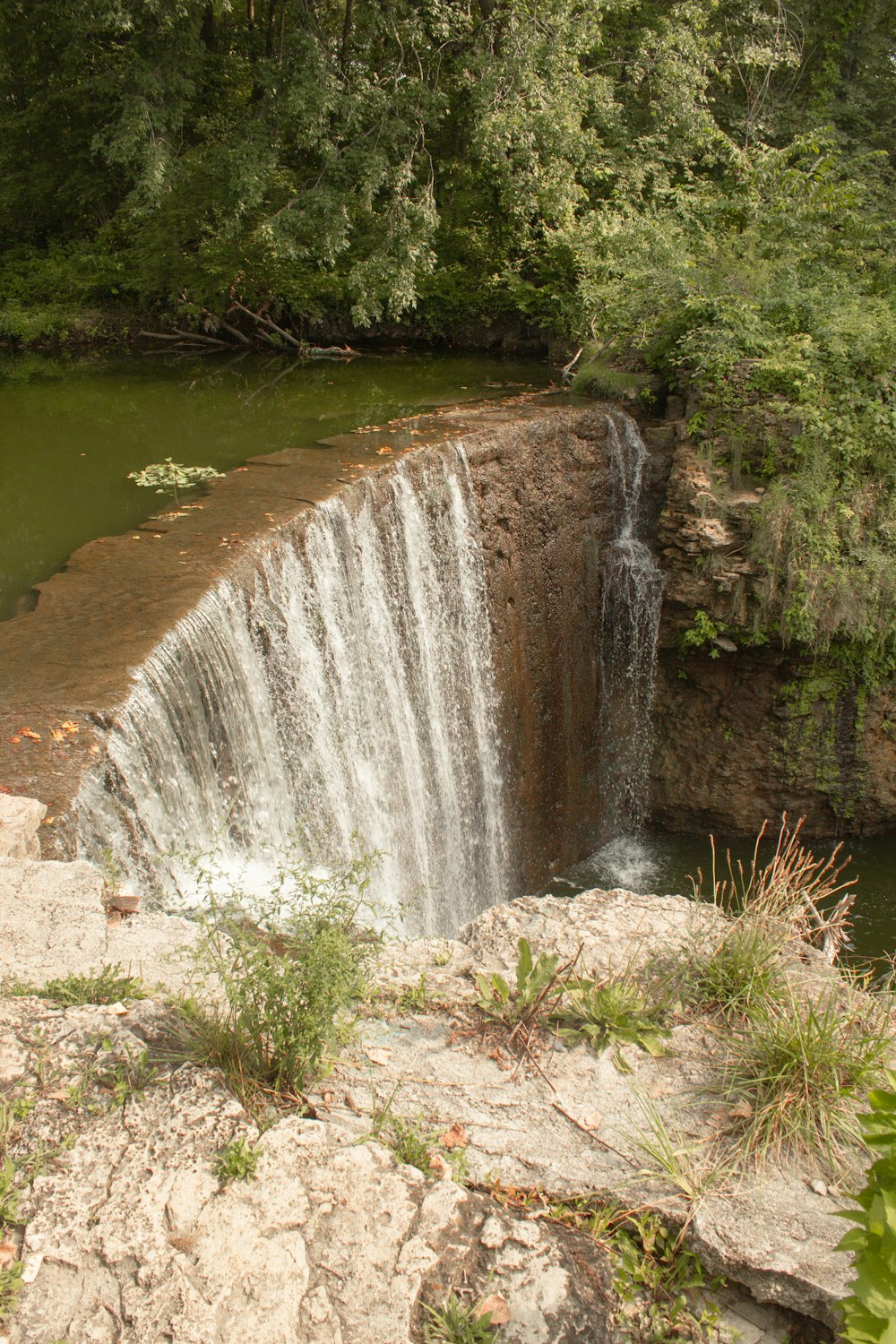 L'acqua cade in mezzo agli alberi verdi