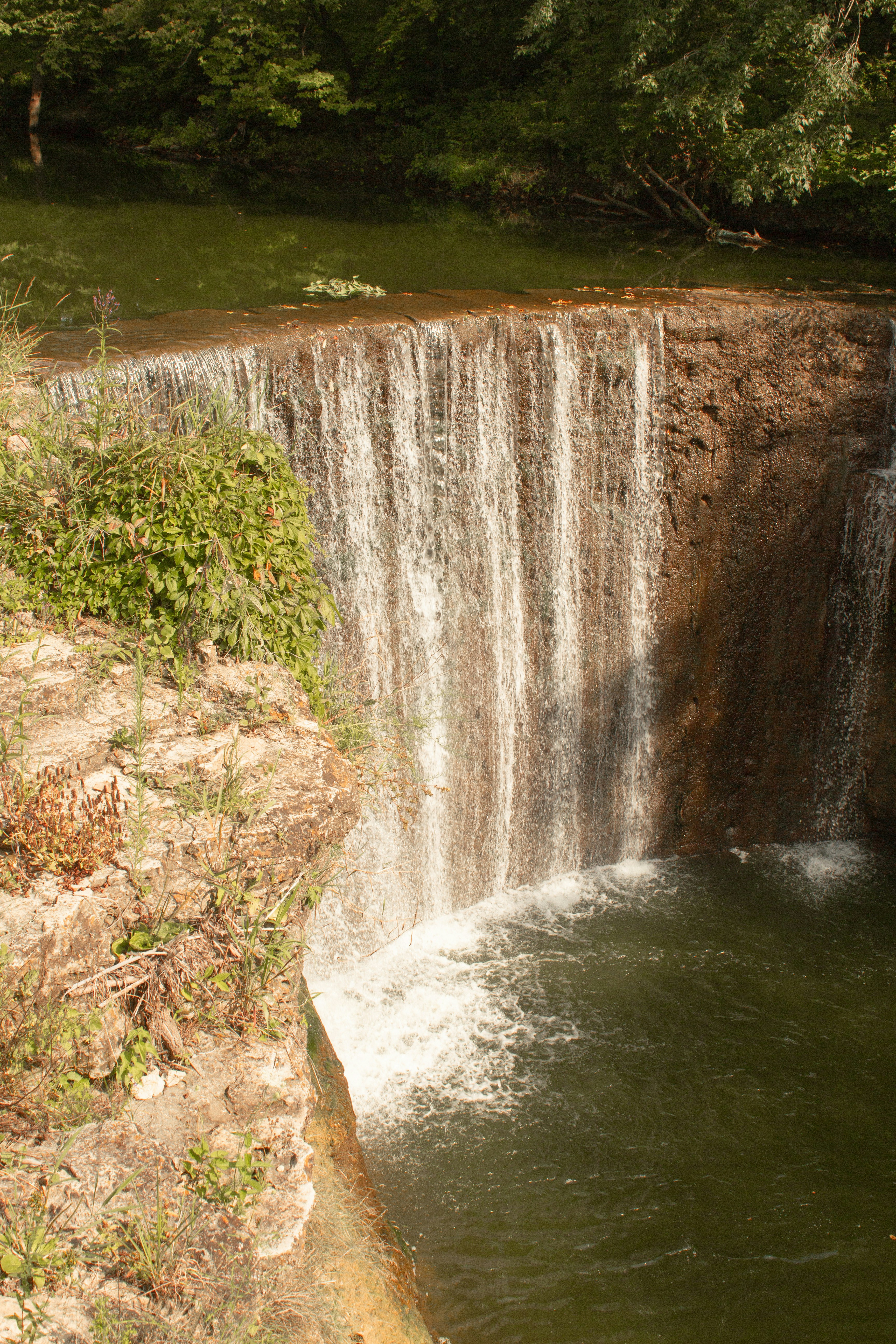El agua cae en medio de la hierba verde