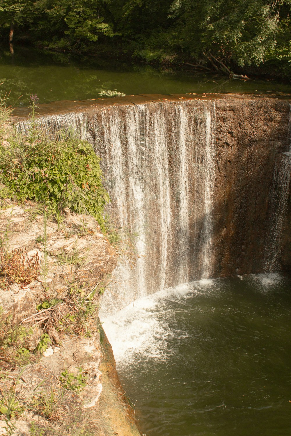 water falls in the middle of green grass