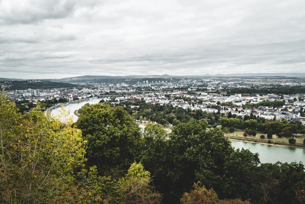 green trees and city buildings under white clouds during daytime