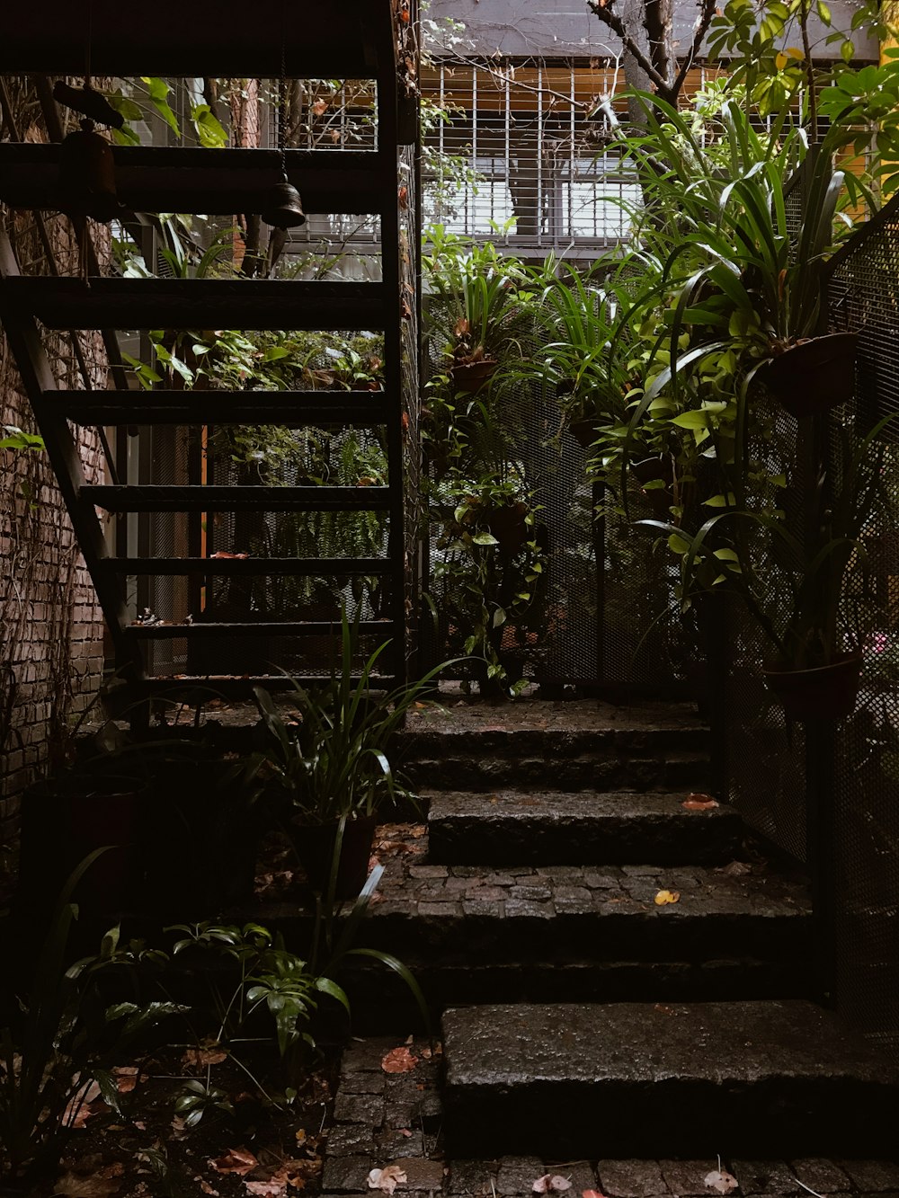 brown wooden staircase near green plants