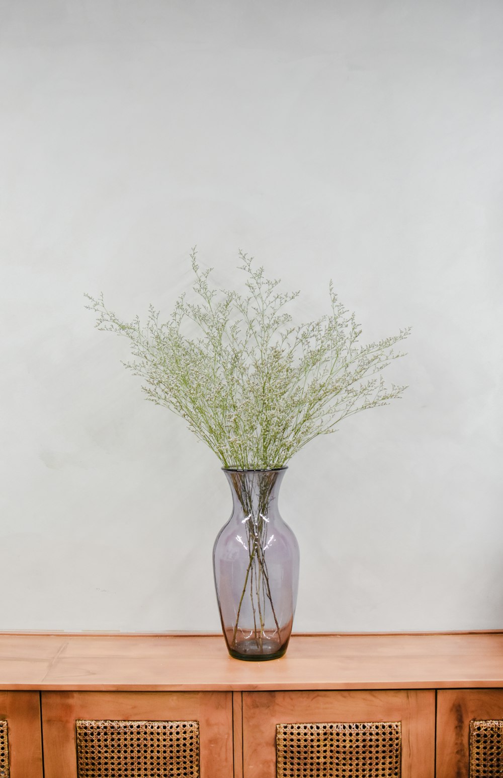 green plant in clear glass vase