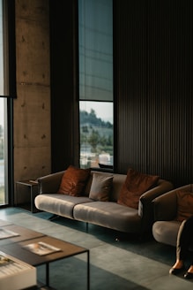 brown and white couch beside window