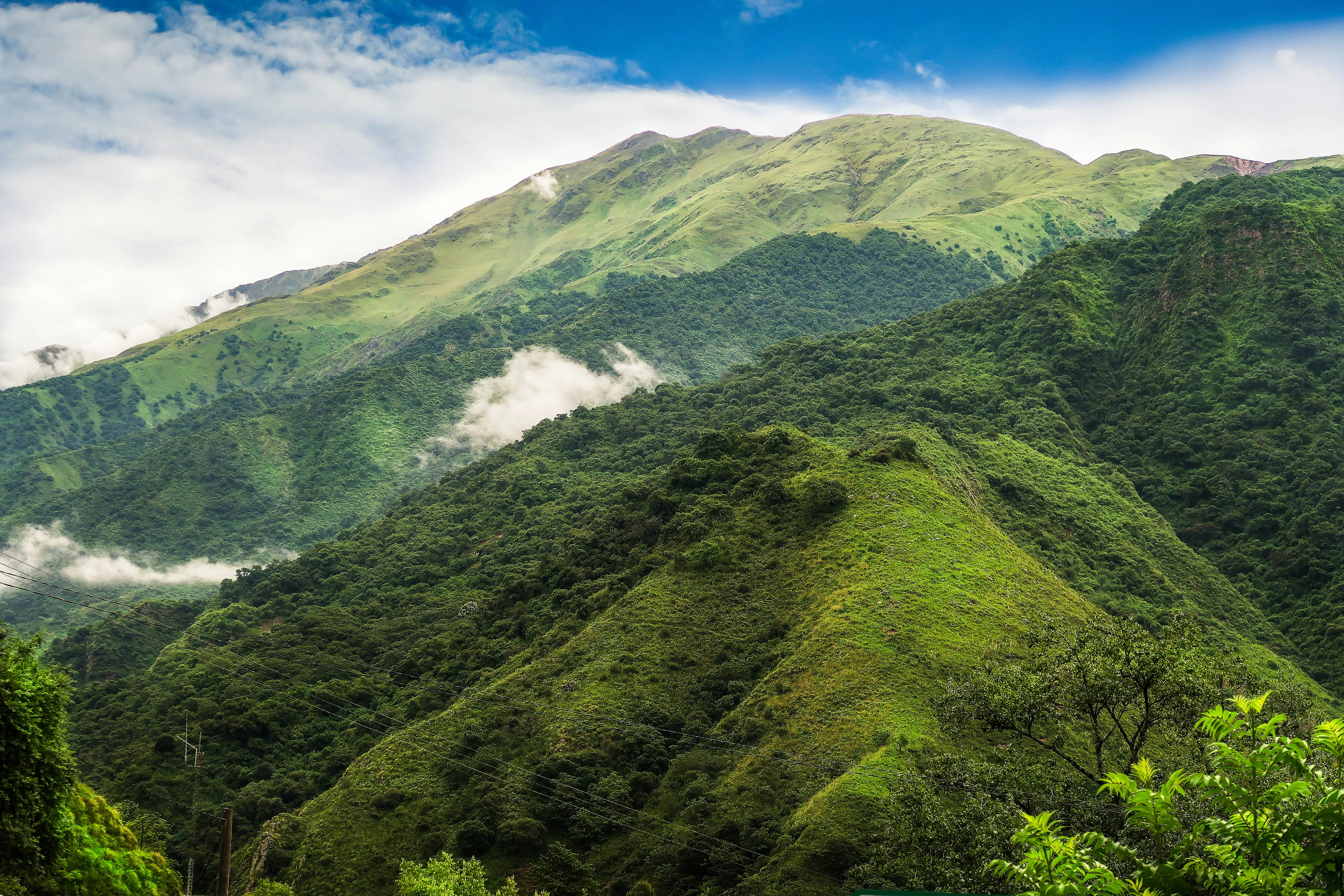 Reforestación de 1300 Árboles en Jujuy para la Conservación de Bosques Nativos