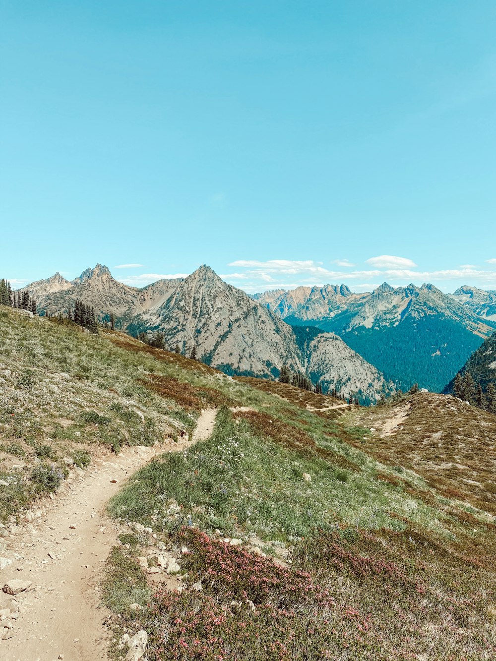 campo di erba verde vicino alla montagna sotto il cielo blu durante il giorno