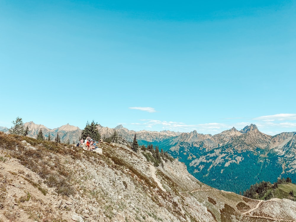 people hiking on mountain during daytime