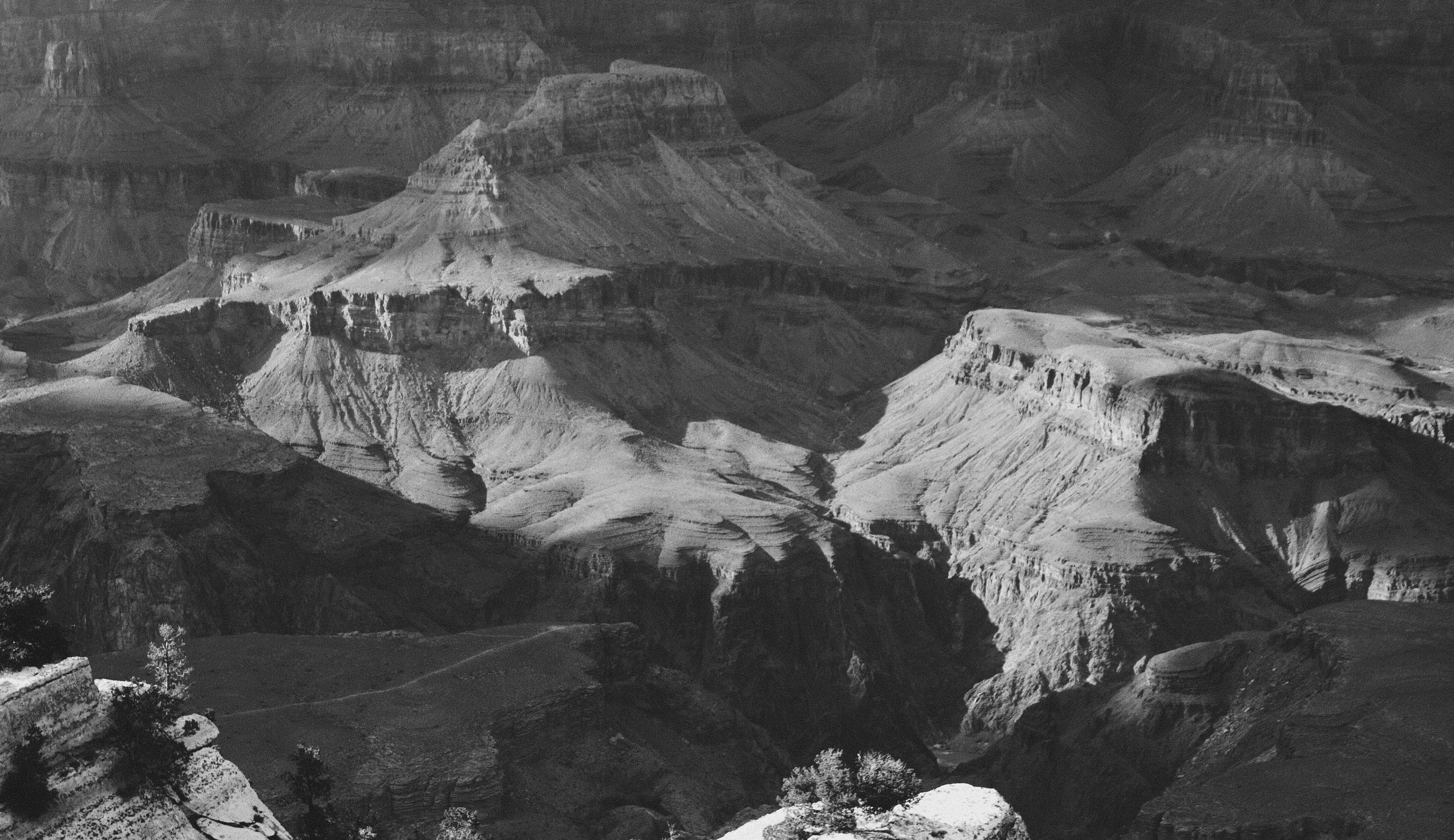 Photo by chrisjdavis