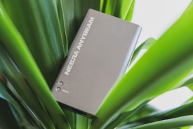 A compact device labeled 'NEBRA ANYBEAM' is nestled among green leaves. The device appears metallic and is positioned slightly tilted, contrasting with the vibrant greenery surrounding it.