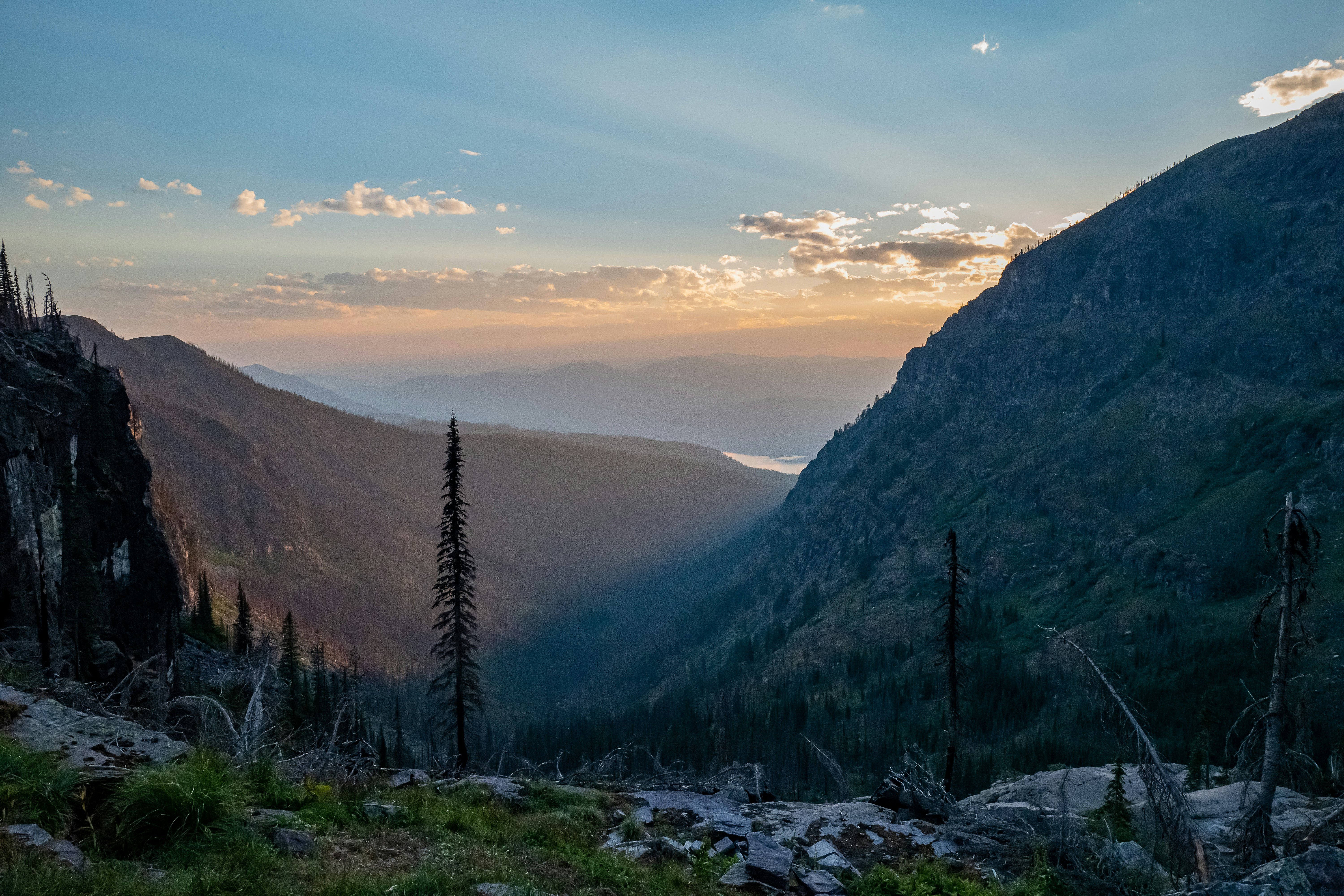 Photo by mercadomuses