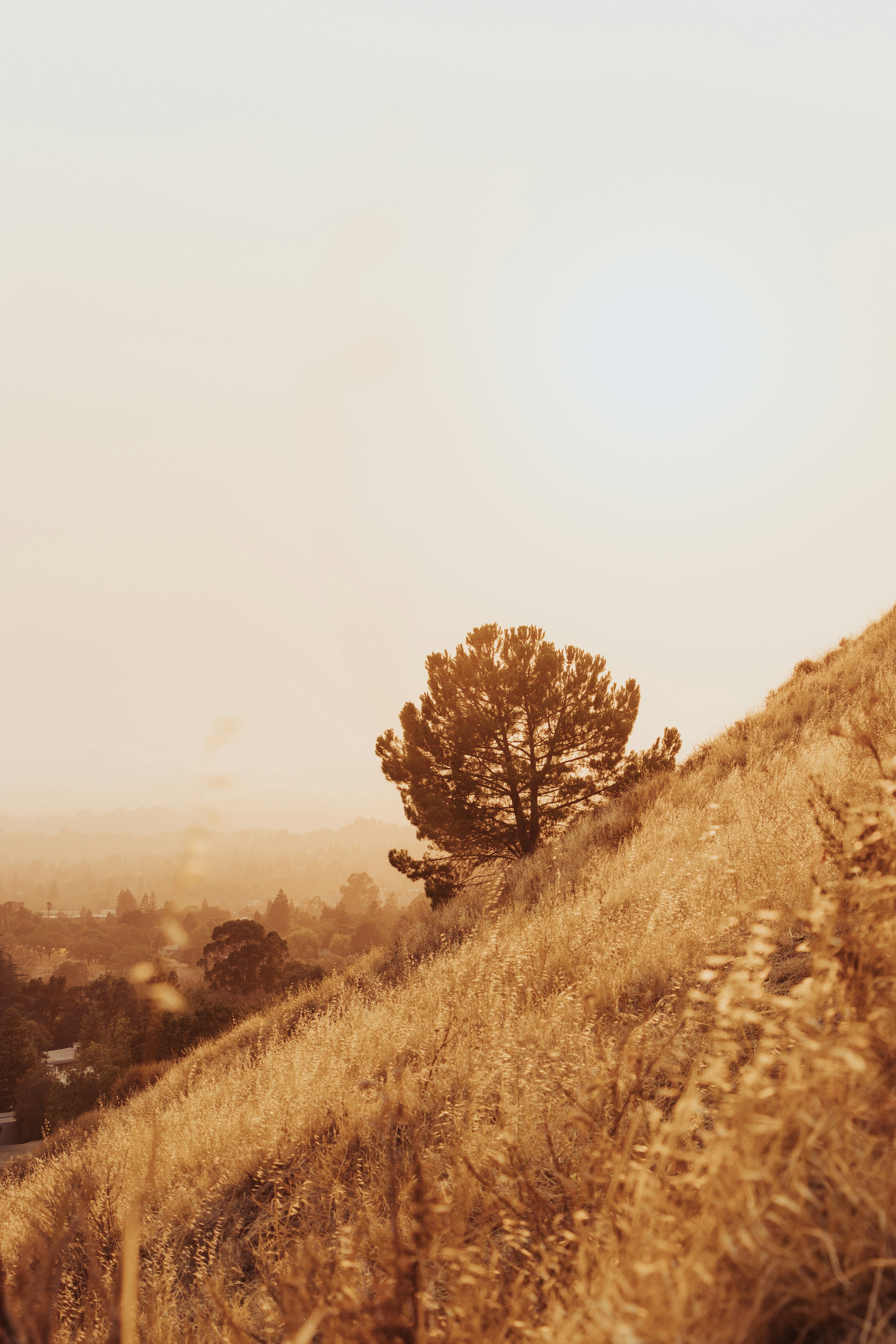 Photo by dzngriffin