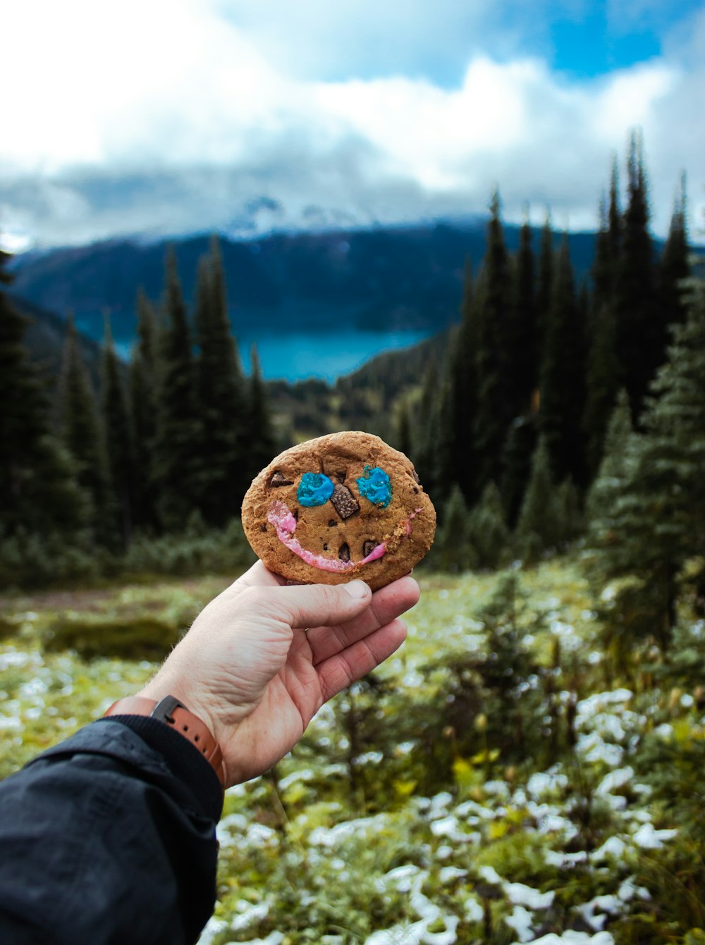 person holding brown cookie with green pine tree in the background during daytime