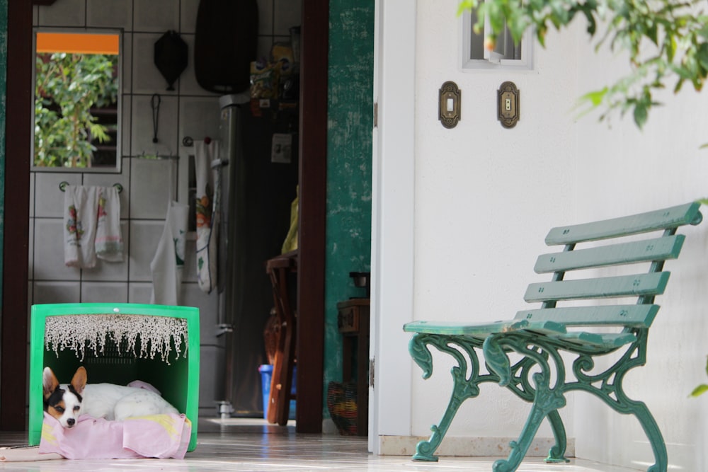 green wooden bench near white wall