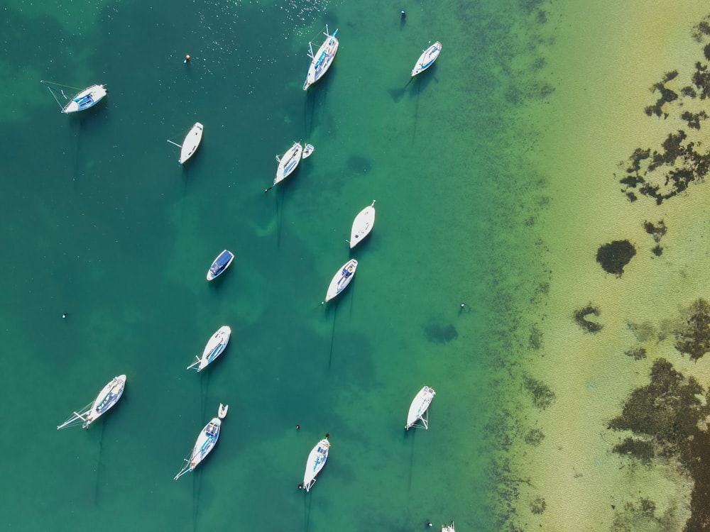 white and gray boats on water