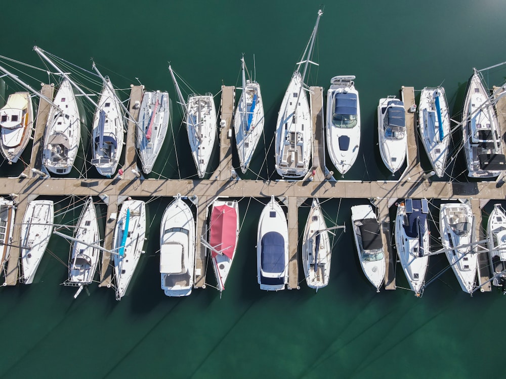 white and black boat on body of water