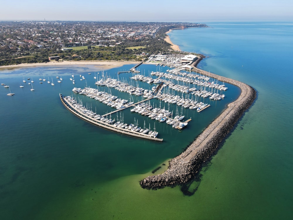 aerial view of city buildings near body of water during daytime