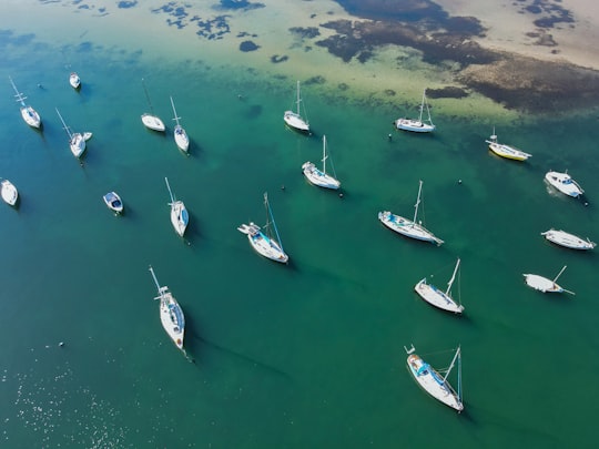 white boats on green sea during daytime in Sandringham VIC Australia