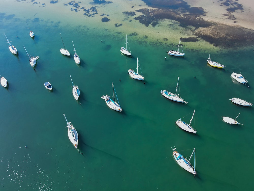 white boats on green sea during daytime