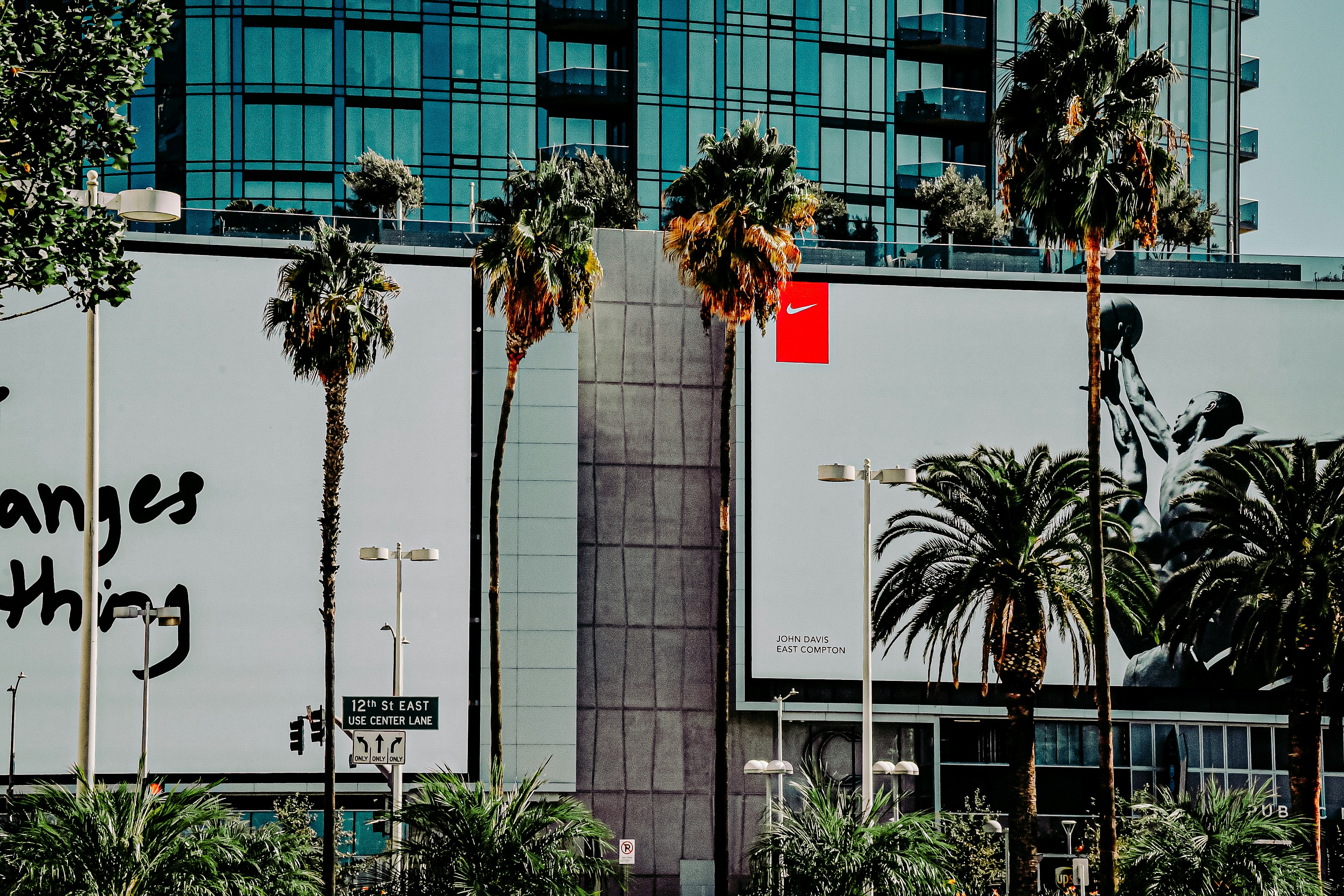 green palm tree near white concrete building during daytime