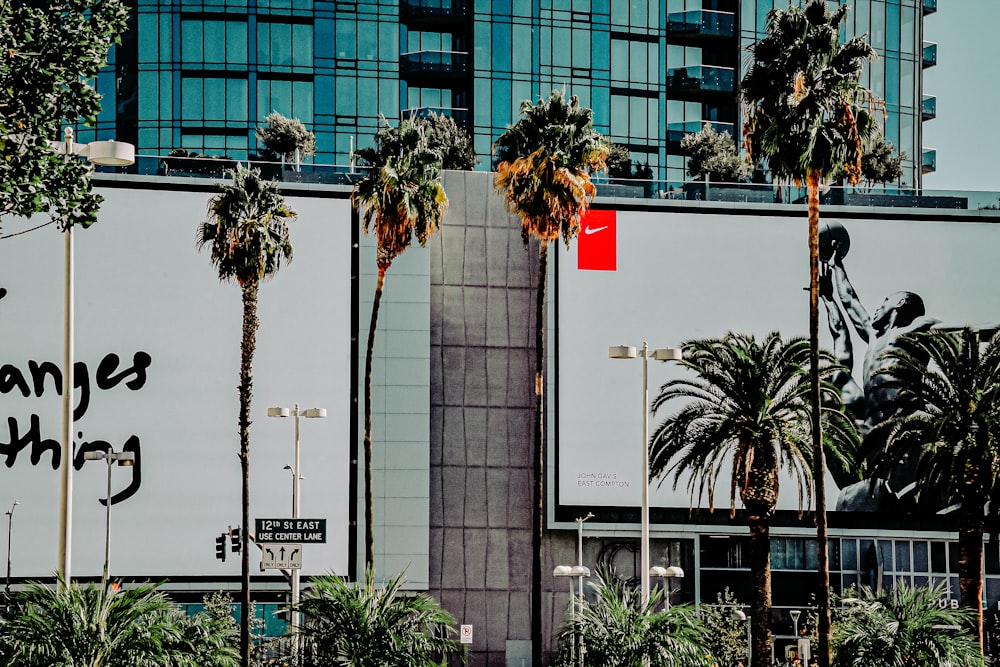 Palmera verde cerca de un edificio de hormigón blanco durante el día