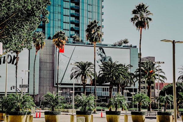 green palm trees near building during daytime