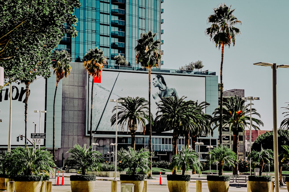 green palm trees near building during daytime