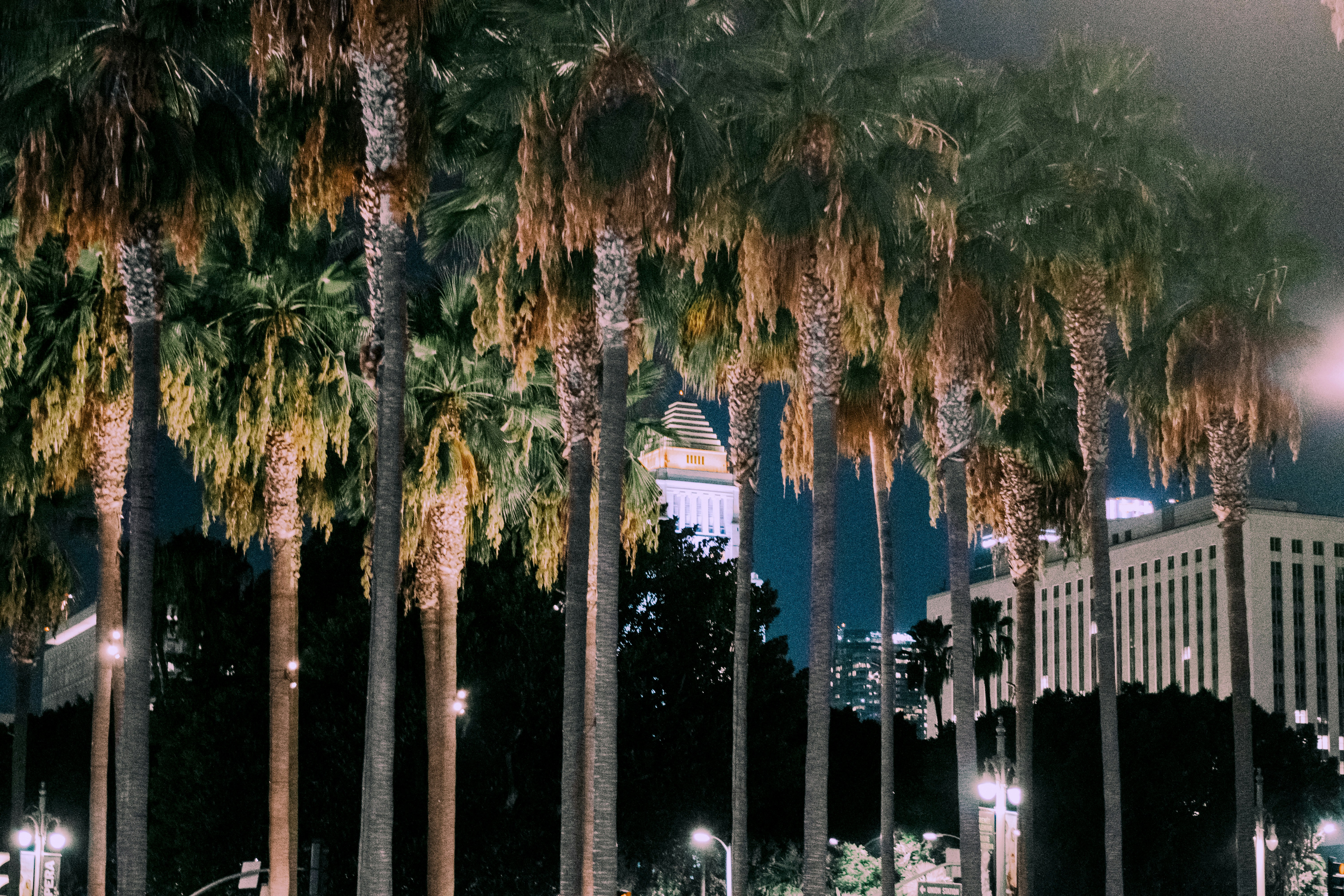 Photo by framesforyourheart