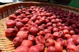 Golden apricots (khumani) drying under the bright Kandahar sun on traditional mats.