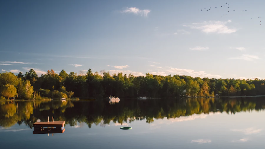 Green trees beside a lake under blue sky