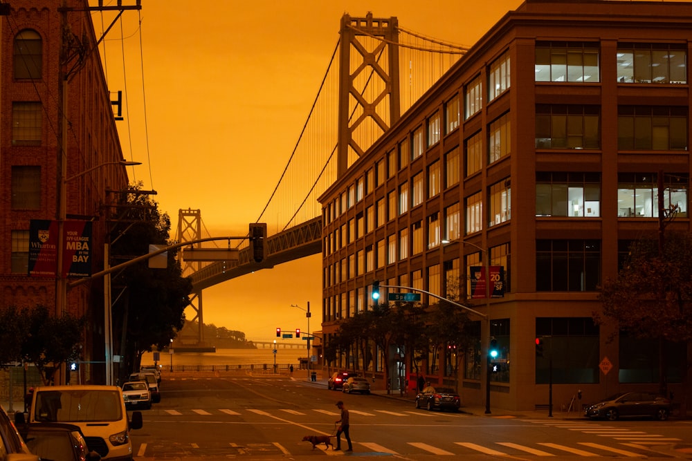 people walking on pedestrian lane during sunset