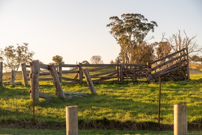 Rustic wooden fence framing a vibrant green field under a bright afternoon sun.