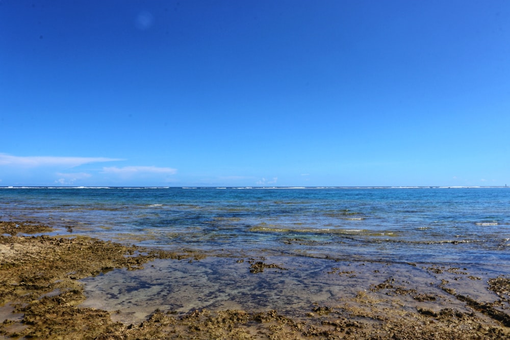 blue sea under blue sky during daytime