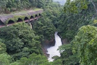 A lush green forest surrounds a cascading waterfall flowing down a rocky cliff. Next to it, a man-made tunnel is partially covered in vegetation, highlighting a blend of infrastructure and nature.